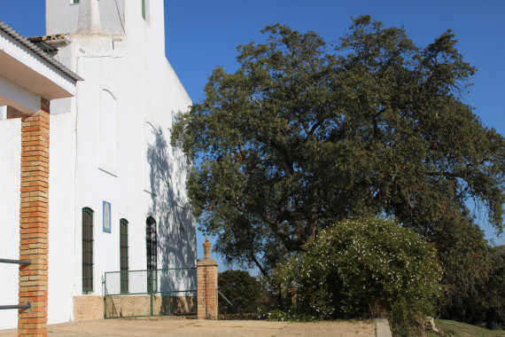 casas-e-infracestruccturas24