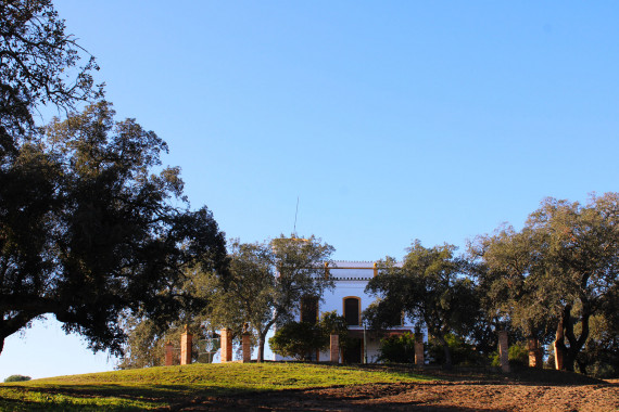 casas-e-infracestruccturas7