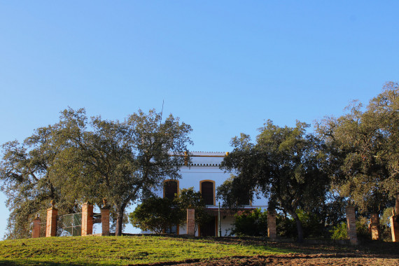 casas-e-infracestruccturas8